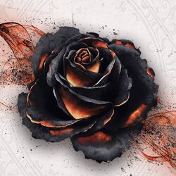 Black Rose Wars