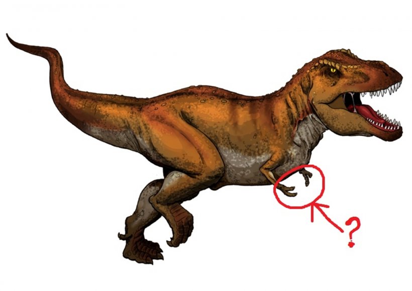 T-Rex: mani