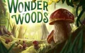 Wonder Woods