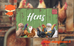 Hens: tante galline diverse da mettere in ordine