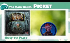 Too Many Bones: Tutorial di Picket