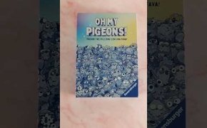 Oh My Pigeons! 🕊 I piccioni non sono mai stati così carini