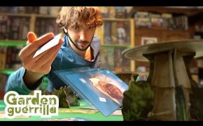 Lanciare le CARTE in un GIOCO da TAVOLO! | GARDEN GUERRILLA