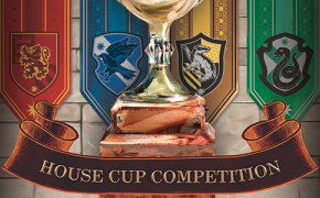 Harry Potter: House Cup Competition, 50 punti a…