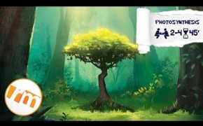 Recensioni Minute [180] - (Anteprima) Photosynthesis