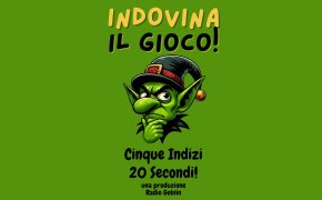 Indovina il Gioco