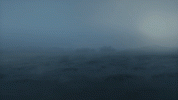 nebbia.gif