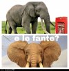 yjtmj5umqp-e-le-fante-vaccata_b.jpg yjtmj5umqp-e-le-fante-vaccata_b.jpg