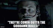 1000108081.gif