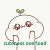 1000108119.gif